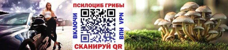 сколько стоит  Нефтегорск  Галлюциногенные грибы мухоморы 