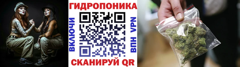 дарк нет наркотические препараты  наркотики  Нефтегорск  МАРИХУАНА ГИДРОПОН  ОМГ ОМГ как зайти 